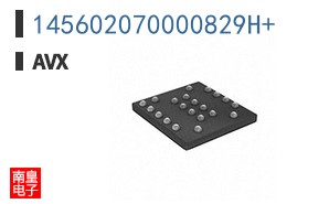 145602070000829H+