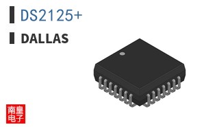 DS2125+
