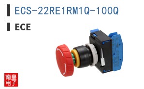 ECS-22RE1RM1Q-100Q