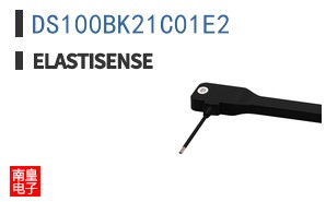 DS100BK21C01E2