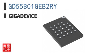 GD55B01GEB2RY