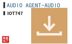 AUDIO AGENT-AUDIO