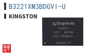 B3221XM3BDGVI-U