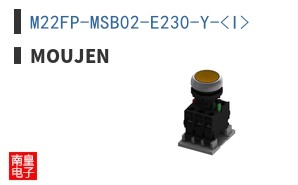 M22FP-MSB02-E230-Y-<I>