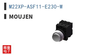 M22XP-ASF11-E230-W