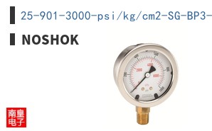 25-901-3000-psi/kg/cm2-SG-BP3-CC