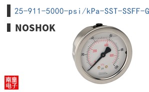 25-911-5000-psi/kPa-SST-SSFF-GY40-BP3