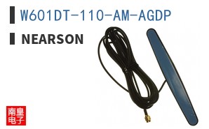 W601DT-110-AM-AGDP