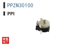 PPZN30100
