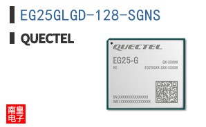 EG25GLGD-128-SGNS