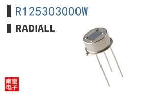R125303000W
