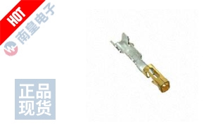 CC79L-2024-01-S