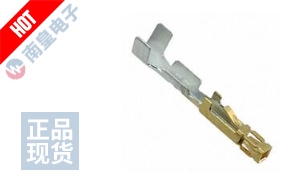 CC81L-2426-01-L