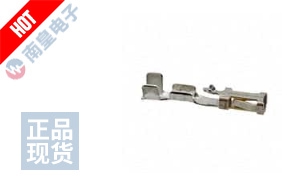 CC81R-2426-01-L