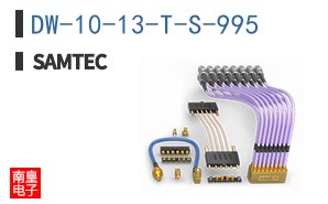 DW-10-13-T-S-995