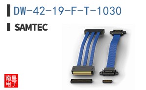 DW-42-19-F-T-1030