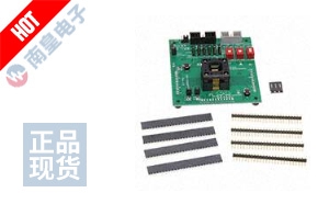 MSP-TS430PT48