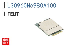 L30960N6980A100