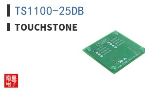 TS1100-25DB