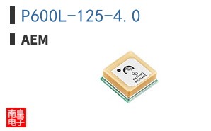 P600L-125-4.0 ͼƬ
