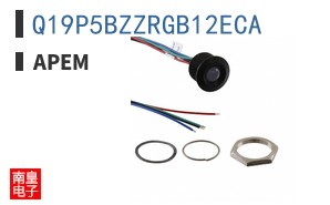 Q19P5BZZRGB12ECA ͼƬ