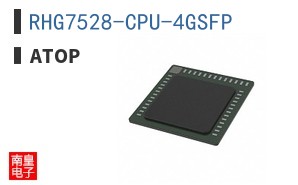 RHG7528-CPU-4GSFP ͼƬ