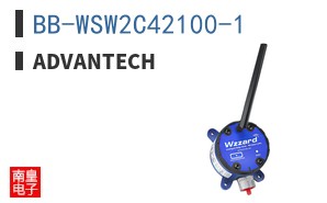 BB-WSW2C42100-1 ͼƬ