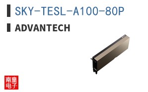 SKY-TESL-A100-80P ͼƬ