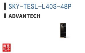 SKY-TESL-L40S-48P ͼƬ