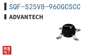 SQF-S25V8-960GCSCC ͼƬ