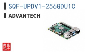 SQF-UPDV1-256GDU1C ͼƬ