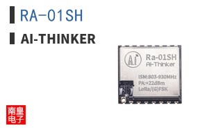 RA-01SH ͼƬ