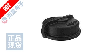 FLS-2SC40-01BP 图片