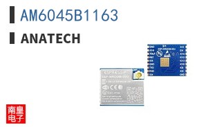 AM6045B1163 ͼƬ