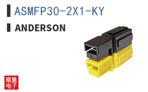 ASMFP30-2X1-KY ͼƬ
