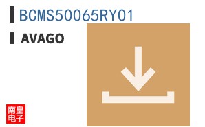 BCMS50065RY01 ͼƬ