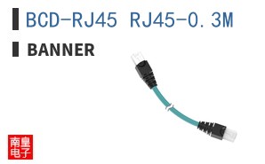 BCD-RJ45 RJ45-0.3M ͼƬ