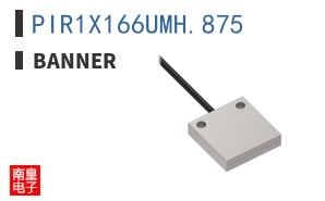 PIR1X166UMH.875 ͼƬ