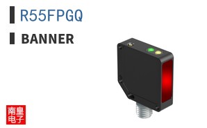 R55FPGQ ͼƬ
