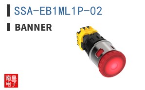 SSA-EB1ML1P-02 ͼƬ