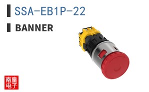 SSA-EB1P-22 ͼƬ