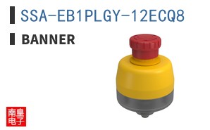 SSA-EB1PLGY-12ECQ8 ͼƬ