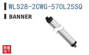 WLS28-2CWG-570L25SQ ͼƬ
