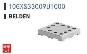 10GXS33009U1000 ͼƬ