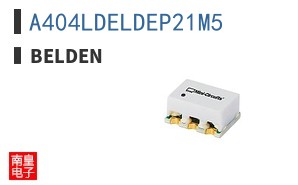 A404LDELDEP21M5 ͼƬ
