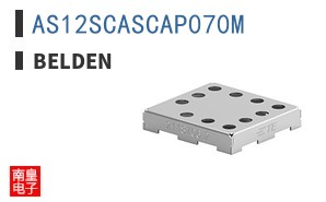 AS12SCASCAP070M ͼƬ