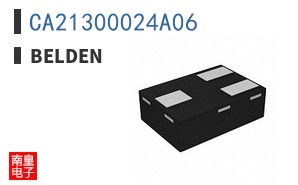 CA21300024A06 ͼƬ
