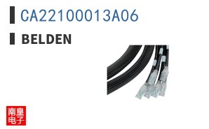 CA22100013A06 ͼƬ