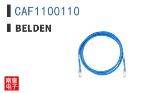 CAF1100110 ͼƬ