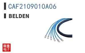 CAF2109010A06 ͼƬ